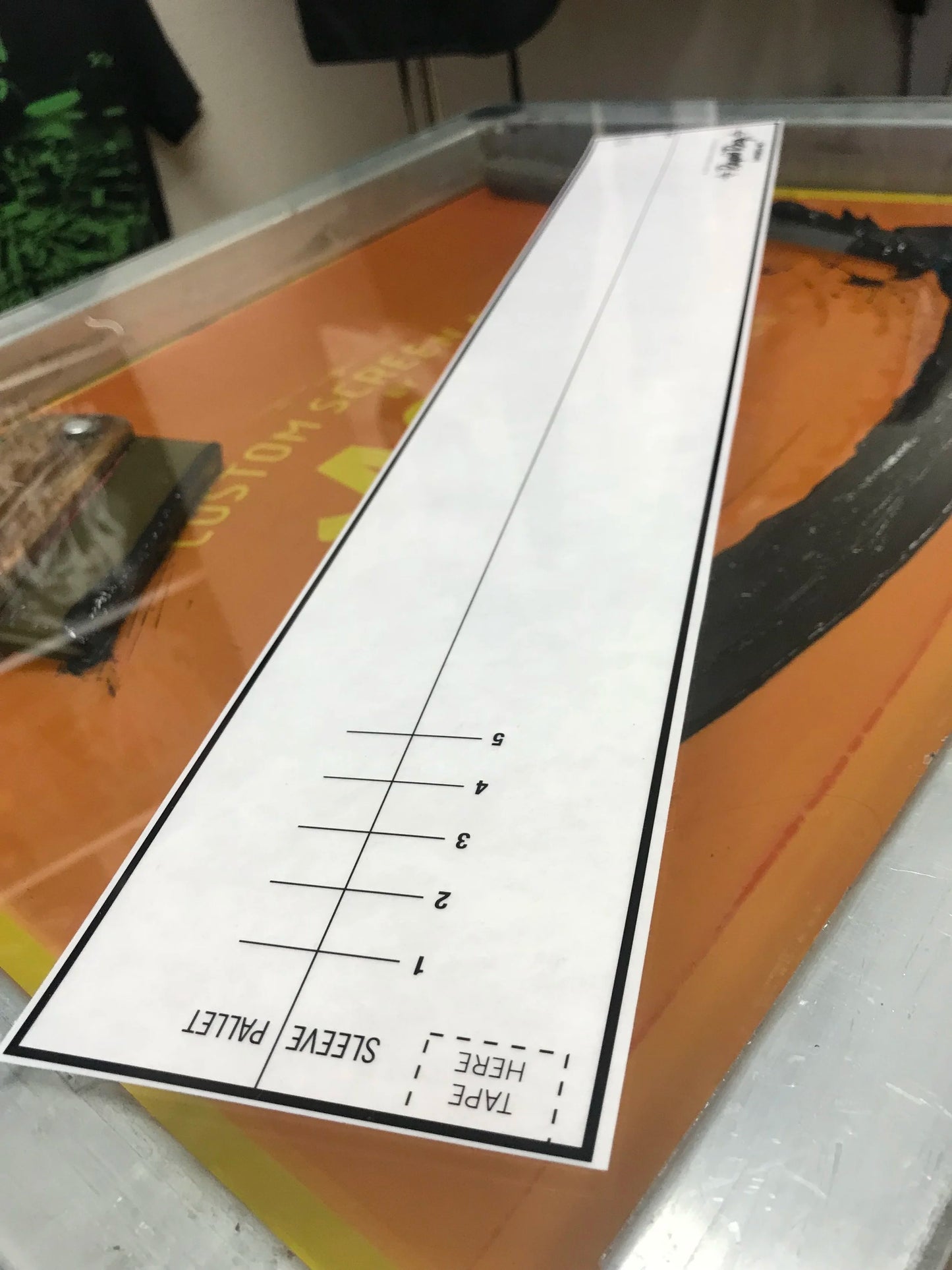 Rapid Reg - Complete Set